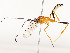  ( - CBG-A53648-D03)  @11 [ ] CreativeCommons - Attribution Share - Alike (2024) CBG Photography Group Centre for Biodiversity Genomics