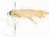  ( - CBG-A53648-E04)  @11 [ ] CreativeCommons - Attribution Share - Alike (2024) CBG Photography Group Centre for Biodiversity Genomics