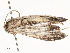  ( - CBG-A53648-F11)  @11 [ ] CreativeCommons - Attribution Share - Alike (2024) CBG Photography Group Centre for Biodiversity Genomics