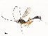  ( - CBG-A53648-G01)  @11 [ ] CreativeCommons - Attribution Share - Alike (2024) CBG Photography Group Centre for Biodiversity Genomics