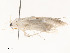  ( - CBG-A53648-G05)  @11 [ ] CreativeCommons - Attribution Share - Alike (2024) CBG Photography Group Centre for Biodiversity Genomics