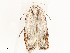  ( - CBG-A53649-F05)  @11 [ ] CreativeCommons - Attribution Share - Alike (2024) CBG Photography Group Centre for Biodiversity Genomics