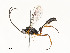  ( - CBG-A53650-C08)  @11 [ ] CreativeCommons - Attribution Share - Alike (2024) CBG Photography Group Centre for Biodiversity Genomics