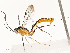  ( - CBG-A53651-D06)  @11 [ ] CreativeCommons - Attribution Share - Alike (2024) CBG Photography Group Centre for Biodiversity Genomics