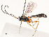  ( - CBG-A53651-G12)  @11 [ ] CreativeCommons - Attribution Share - Alike (2024) CBG Photography Group Centre for Biodiversity Genomics