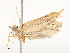  ( - CBG-A54403-B07)  @11 [ ] CreativeCommons - Attribution Share - Alike (2024) CBG Photography Group Centre for Biodiversity Genomics