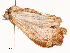  ( - CBG-A54403-B09)  @11 [ ] CreativeCommons - Attribution Share - Alike (2024) CBG Photography Group Centre for Biodiversity Genomics