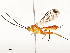  ( - CBG-A54403-D06)  @11 [ ] CreativeCommons - Attribution Share - Alike (2024) CBG Photography Group Centre for Biodiversity Genomics