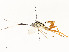  ( - CBG-A54404-D08)  @11 [ ] CreativeCommons - Attribution Share - Alike (2024) CBG Photography Group Centre for Biodiversity Genomics