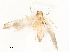  ( - CBG-A58656-B04)  @11 [ ] CreativeCommons - Attribution Share - Alike (2025) CBG Photography Group Centre for Biodiversity Genomics