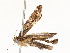  ( - CBG-A58656-G09)  @11 [ ] CreativeCommons - Attribution Share - Alike (2025) CBG Photography Group Centre for Biodiversity Genomics