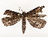  ( - CBG-A58662-F02)  @11 [ ] CreativeCommons - Attribution Share - Alike (2025) CBG Photography Group Centre for Biodiversity Genomics