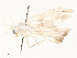  ( - CBG-A58662-G05)  @11 [ ] CreativeCommons - Attribution Share - Alike (2025) CBG Photography Group Centre for Biodiversity Genomics