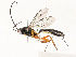  ( - CBG-A58662-G07)  @11 [ ] CreativeCommons - Attribution Share - Alike (2025) CBG Photography Group Centre for Biodiversity Genomics