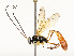  ( - CBG-A53652-B04)  @11 [ ] CreativeCommons - Attribution Share - Alike (2024) CBG Photography Group Centre for Biodiversity Genomics