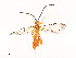  ( - CBG-A53652-G08)  @11 [ ] CreativeCommons - Attribution Share - Alike (2024) CBG Photography Group Centre for Biodiversity Genomics