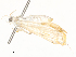  ( - CBG-A54405-B10)  @11 [ ] CreativeCommons - Attribution Share - Alike (2024) CBG Photography Group Centre for Biodiversity Genomics
