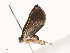  ( - CBG-A54406-B07)  @11 [ ] CreativeCommons - Attribution Share - Alike (2024) CBG Photography Group Centre for Biodiversity Genomics