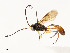 ( - CBG-A54406-E04)  @11 [ ] CreativeCommons - Attribution Share - Alike (2024) CBG Photography Group Centre for Biodiversity Genomics