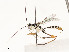  ( - CBG-A54406-E11)  @11 [ ] CreativeCommons - Attribution Share - Alike (2024) CBG Photography Group Centre for Biodiversity Genomics