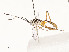  ( - CBG-A54406-E12)  @11 [ ] CreativeCommons - Attribution Share - Alike (2024) CBG Photography Group Centre for Biodiversity Genomics