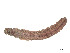  ( - CBG-A54408-H08)  @11 [ ] CreativeCommons - Attribution (2024) CBG Photography Group Centre for Biodiversity Genomics
