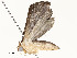  ( - CBG-A54481-A09)  @11 [ ] CreativeCommons - Attribution Share - Alike (2024) CBG Photography Group Centre for Biodiversity Genomics