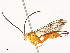  ( - CBG-A54481-F10)  @11 [ ] CreativeCommons - Attribution Share - Alike (2024) CBG Photography Group Centre for Biodiversity Genomics