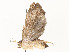  ( - CBG-A54481-H06)  @11 [ ] CreativeCommons - Attribution Share - Alike (2024) CBG Photography Group Centre for Biodiversity Genomics