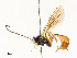  ( - CBG-A54483-E08)  @11 [ ] CreativeCommons - Attribution Share - Alike (2024) CBG Photography Group Centre for Biodiversity Genomics