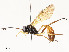 ( - CBG-A54483-F04)  @11 [ ] CreativeCommons - Attribution Share - Alike (2024) CBG Photography Group Centre for Biodiversity Genomics