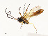  ( - CBG-A54497-B07)  @11 [ ] CreativeCommons - Attribution Share - Alike (2024) CBG Photography Group Centre for Biodiversity Genomics