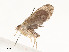  ( - CBG-A54497-C05)  @11 [ ] CreativeCommons - Attribution Share - Alike (2024) CBG Photography Group Centre for Biodiversity Genomics