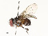  ( - CBG-A54497-C06)  @11 [ ] CreativeCommons - Attribution Share - Alike (2024) CBG Photography Group Centre for Biodiversity Genomics