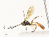  ( - CBG-A54497-G12)  @11 [ ] CreativeCommons - Attribution Share - Alike (2024) CBG Photography Group Centre for Biodiversity Genomics