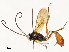  ( - CBG-A54498-A09)  @11 [ ] CreativeCommons - Attribution Share - Alike (2024) CBG Photography Group Centre for Biodiversity Genomics