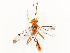  ( - CBG-A54498-B11)  @11 [ ] CreativeCommons - Attribution Share - Alike (2024) CBG Photography Group Centre for Biodiversity Genomics