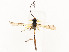  ( - CBG-A54498-D01)  @11 [ ] CreativeCommons - Attribution Share - Alike (2024) CBG Photography Group Centre for Biodiversity Genomics