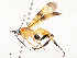  ( - CBG-A54499-B06)  @11 [ ] CreativeCommons - Attribution Share - Alike (2024) CBG Photography Group Centre for Biodiversity Genomics