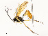  ( - CBG-A54499-D05)  @11 [ ] CreativeCommons - Attribution Share - Alike (2024) CBG Photography Group Centre for Biodiversity Genomics