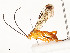  ( - CBG-A54499-F02)  @11 [ ] CreativeCommons - Attribution Share - Alike (2024) CBG Photography Group Centre for Biodiversity Genomics