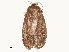  ( - CBG-A54499-F09)  @11 [ ] CreativeCommons - Attribution Share - Alike (2024) CBG Photography Group Centre for Biodiversity Genomics