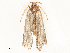  ( - CBG-A58621-E05)  @11 [ ] CreativeCommons - Attribution Share - Alike (2025) CBG Photography Group Centre for Biodiversity Genomics