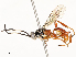  ( - CBG-A58710-F03)  @11 [ ] CreativeCommons - Attribution Share - Alike (2025) CBG Photography Group Centre for Biodiversity Genomics