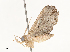 ( - CBG-A58711-G05)  @11 [ ] CreativeCommons - Attribution Share - Alike (2025) CBG Photography Group Centre for Biodiversity Genomics