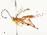  ( - CBG-A59560-G05)  @11 [ ] CreativeCommons - Attribution Share - Alike (2025) CBG Photography Group Centre for Biodiversity Genomics