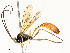  ( - CBG-A62872-E09)  @11 [ ] CreativeCommons - Attribution Share - Alike (2025) CBG Photography Group Centre for Biodiversity Genomics