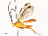  ( - CBG-A62872-F12)  @11 [ ] CreativeCommons - Attribution Share - Alike (2025) CBG Photography Group Centre for Biodiversity Genomics