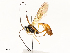  ( - CBG-A62917-F02)  @11 [ ] CreativeCommons - Attribution Share - Alike (2025) CBG Photography Group Centre for Biodiversity Genomics