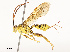  ( - CBG-A62919-D05)  @11 [ ] CreativeCommons - Attribution Share - Alike (2025) CBG Photography Group Centre for Biodiversity Genomics